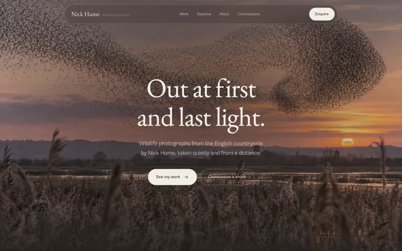 The Nick Hume Photography homepage: a murmuration of starlings over the reeds at sunset, under the heading Out at first and last light.
